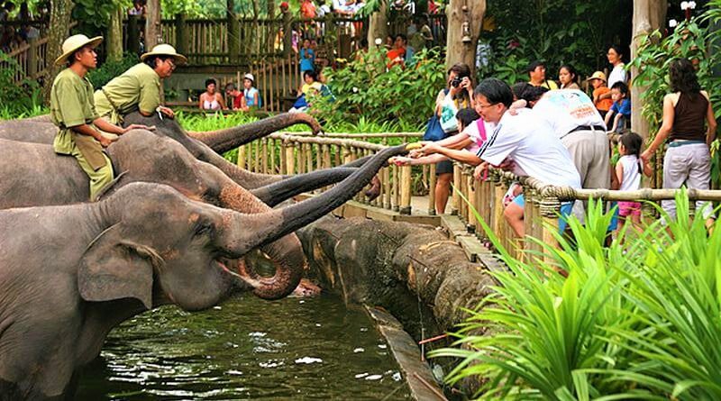 Kebun Binatang Simalingkar Medan, Koleksi Ratusan Satwa Unik dan Rindangnya Alam Sekitar