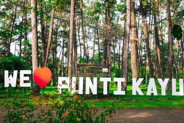 Wisata Alam Punti Kayu, Hutan Pinus di Tengah Kota Palembang